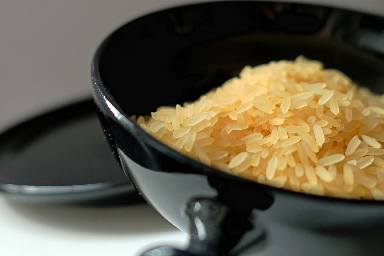rice-2380790_1280