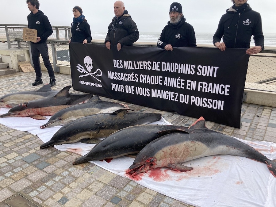 Sea-Shepherd-11-mars-2023