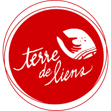 Sans titre